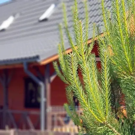Gemuetliches Ferienhaus In Mit Privater Terrasse Ferienhaus